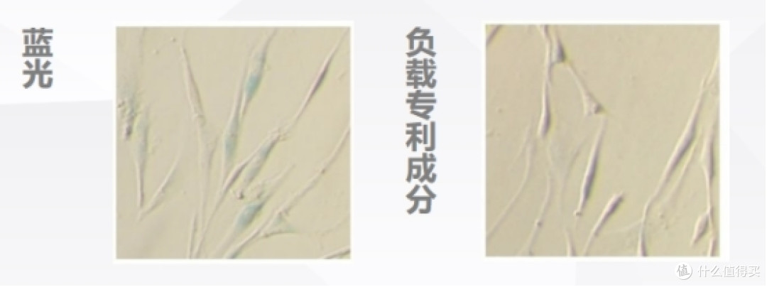 直面“隐形挑战”,华妍光钥守护肌肤光防护力