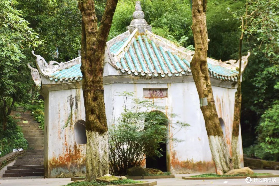 这个被称为“现实桃花源”的小城,玩起来很chill嘛