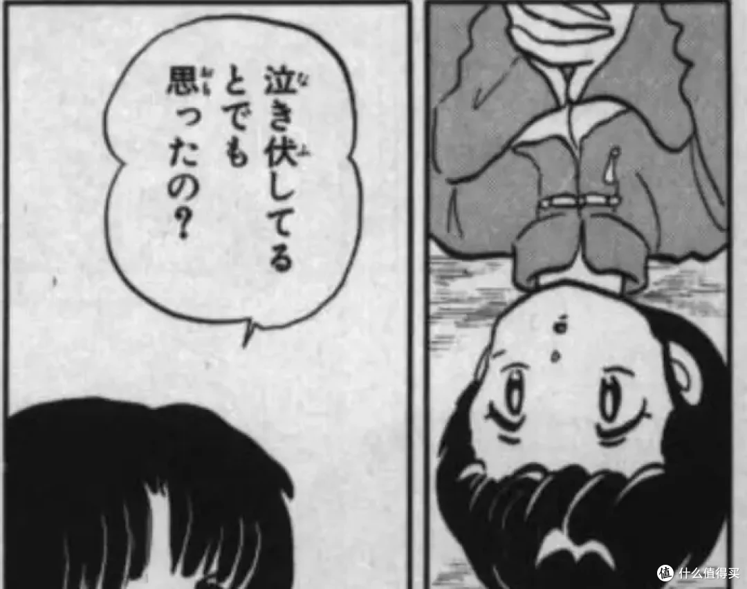 看漫画学单词01之《乱马1/2》第二卷