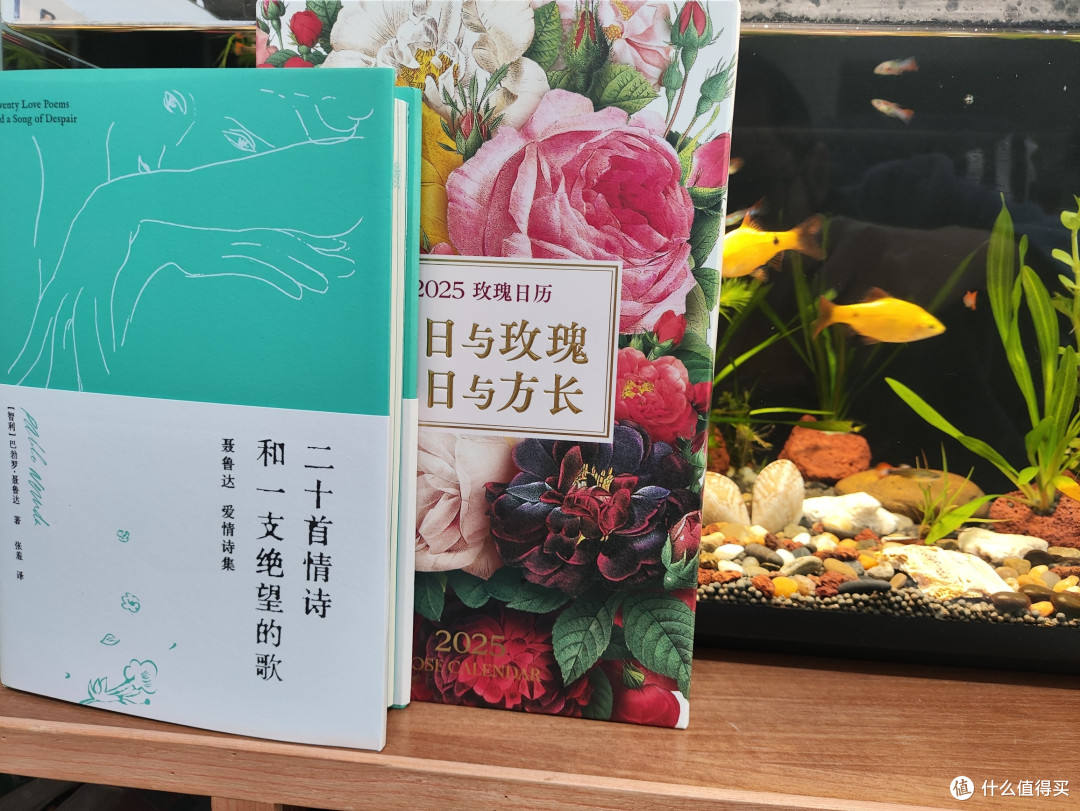 2025,来日方长,感觉值得买赠送的情诗和玫瑰日历