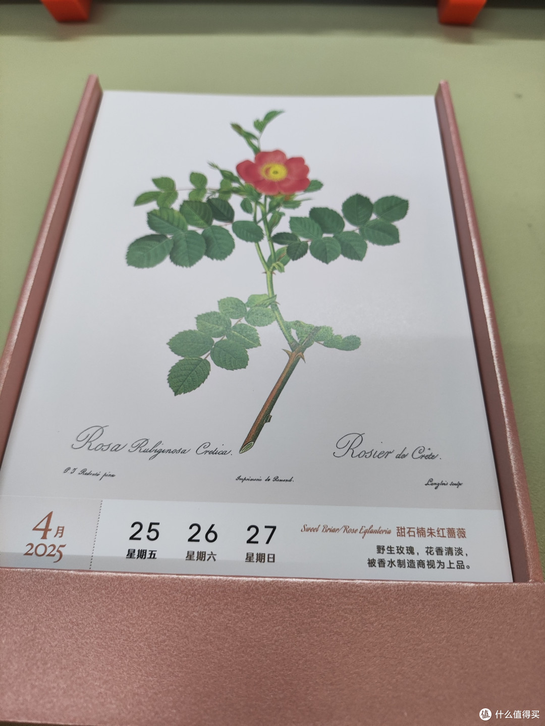 2025,来日方长,感觉值得买赠送的情诗和玫瑰日历