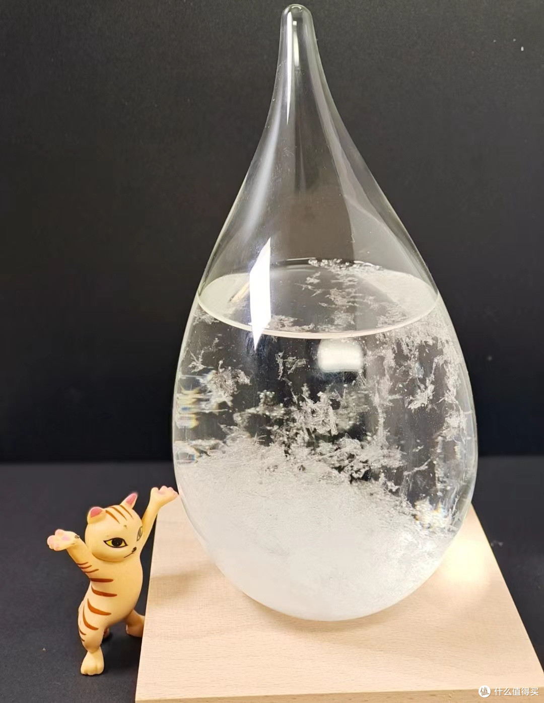 创意礼物极地物种风暴瓶