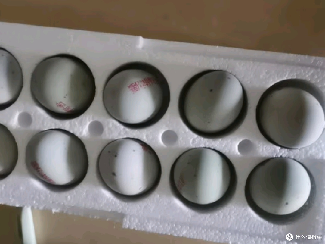 好吃又便宜的鄱湖鸭舍皮蛋