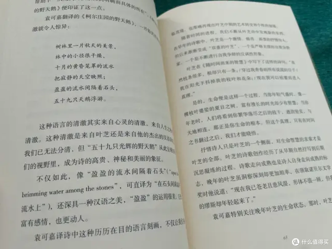 人文袁可嘉在这本书中娓娓道来,如那沉寂的洪钟,厚重又经久不衰