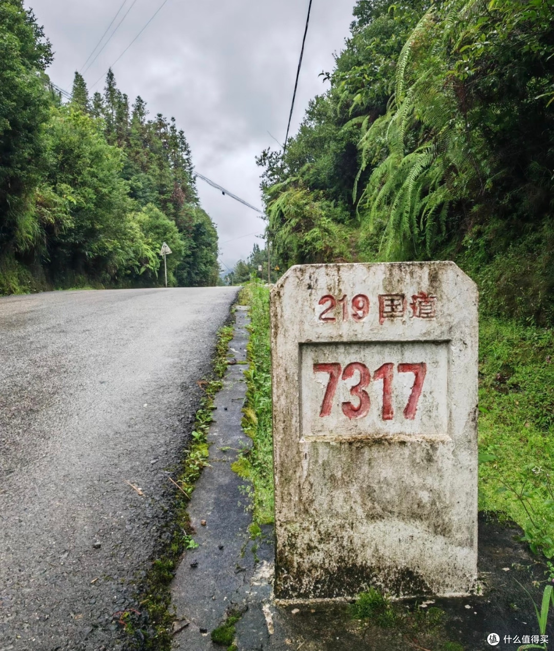 春节自驾 219 国道:一场难忘的边疆之旅