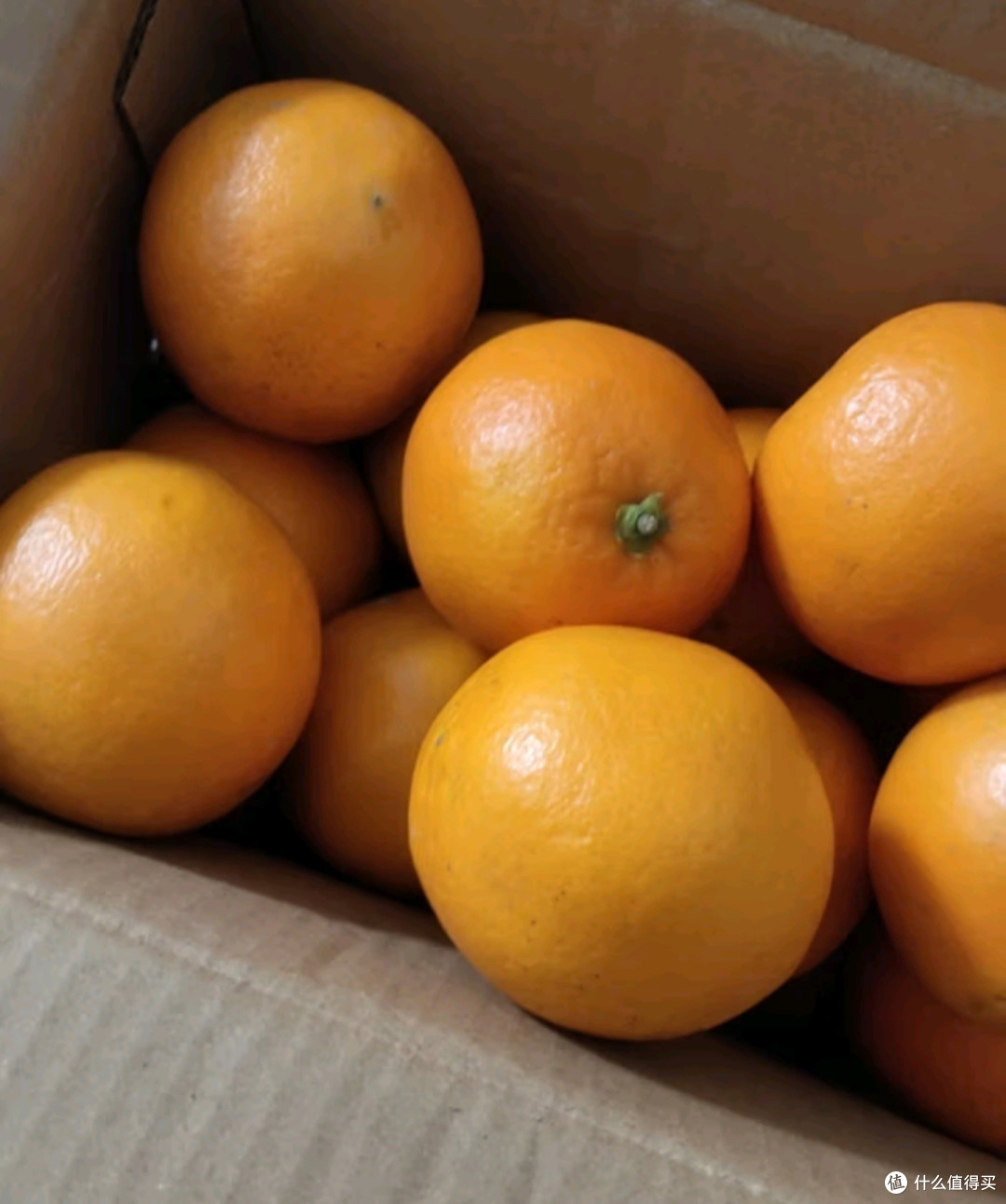 🍊橙子控必看 | 赣南脐橙新鲜来袭
 
#赣南脐橙 #橙子 #新鲜水果