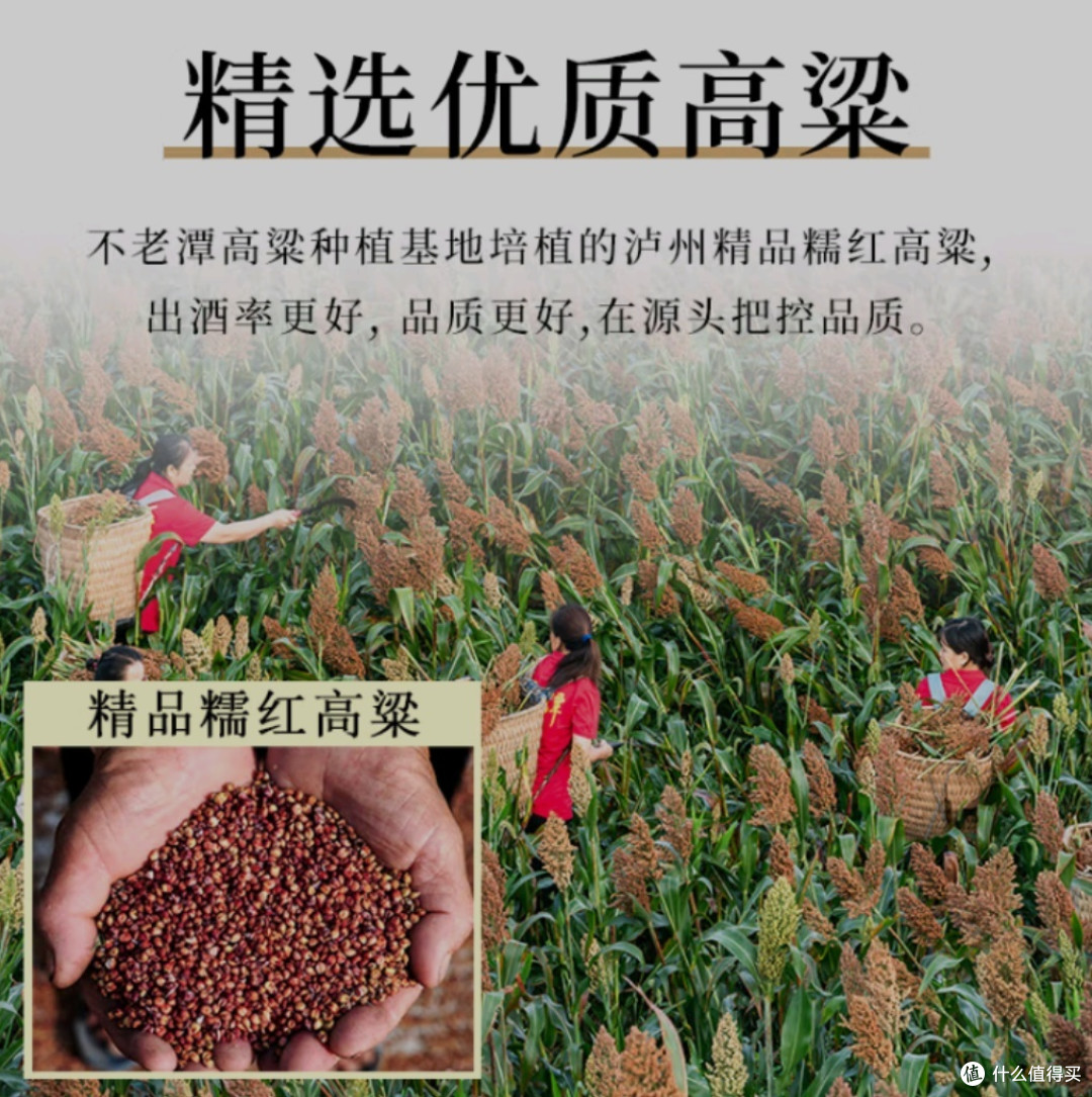 不老潭白酒,口感醇厚酒香浓郁