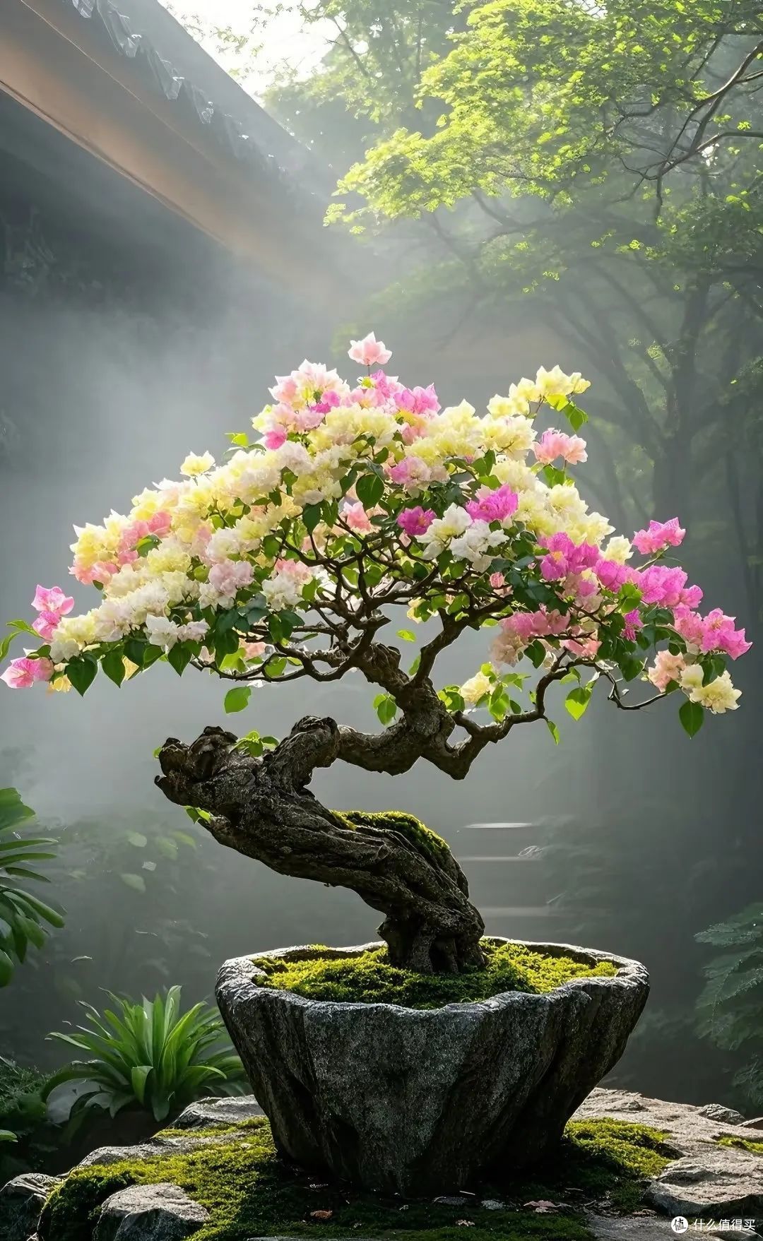要“虐养”的8种花,各种方法“虐”一遍,越养越旺还花开不停