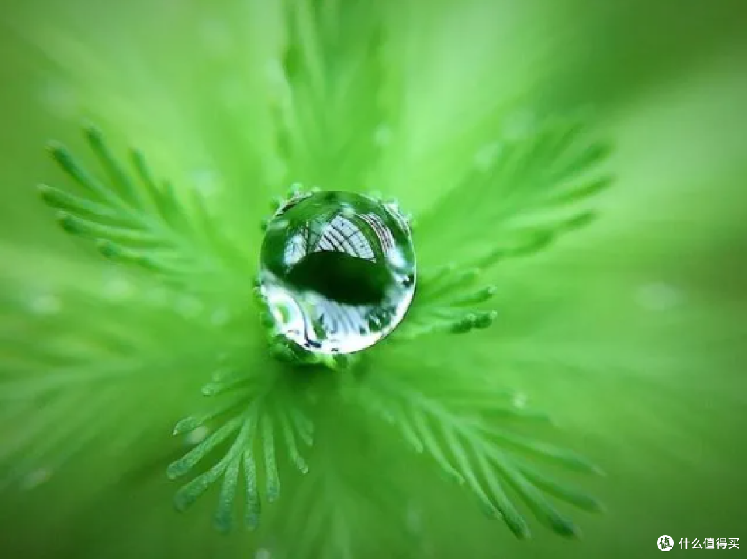 干货!分享4个手机拍照小技巧!