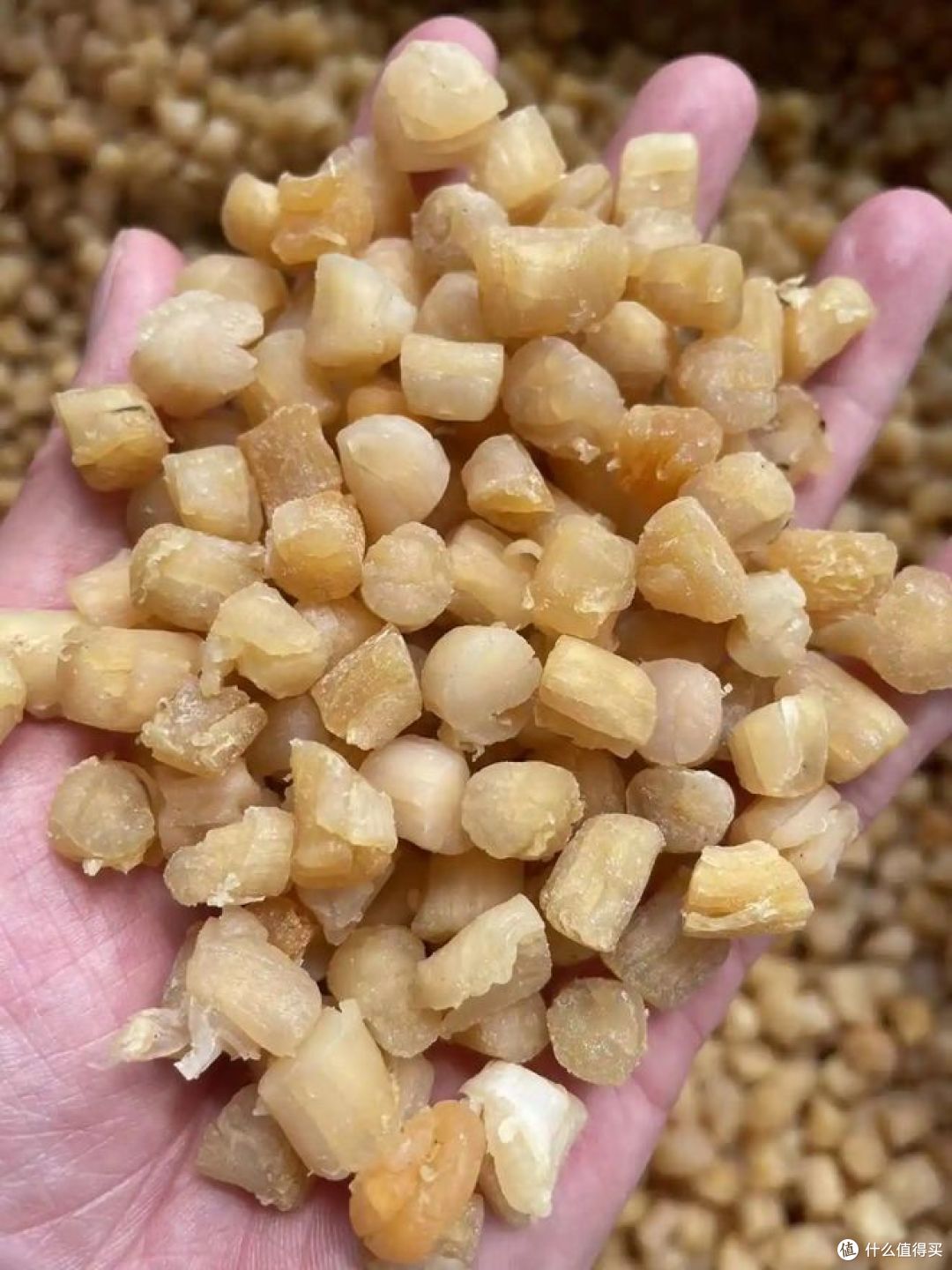 正确泡发干贝的5个步骤，好方法做出来好吃！