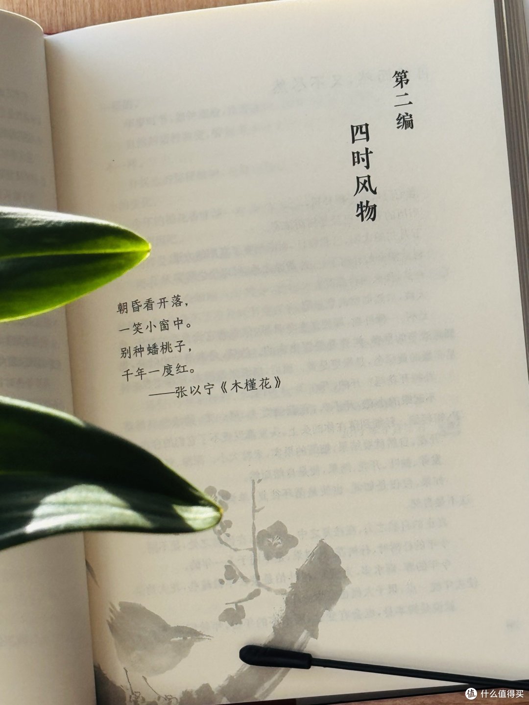人间烟火气,最抚凡人心——《从灶间到舌尖》