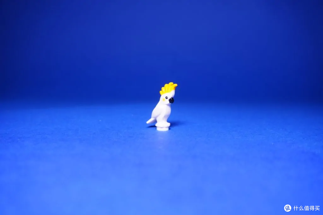 人仔抽抽乐有什么好玩的?NO!是你没发现的这些……