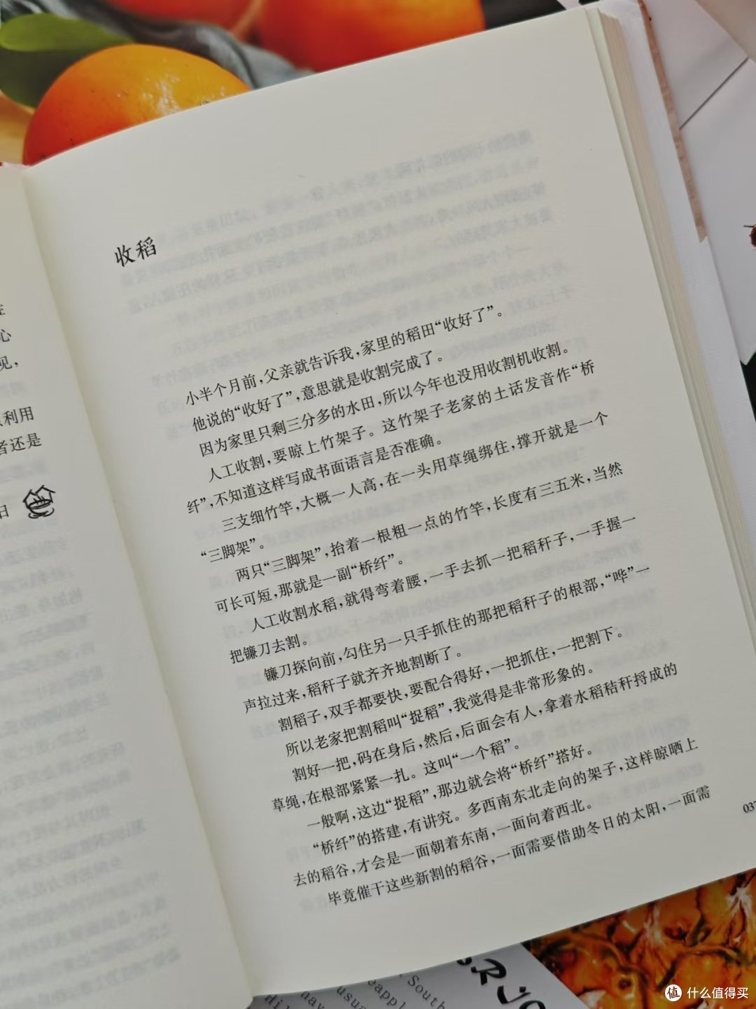 小人物的烟火日常,大世界的温暖瞬间——读《从灶间到舌尖》