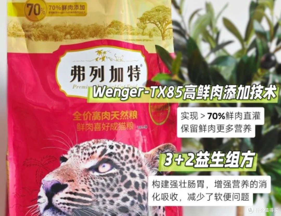 猫咪秋冬季❄养胃攻略