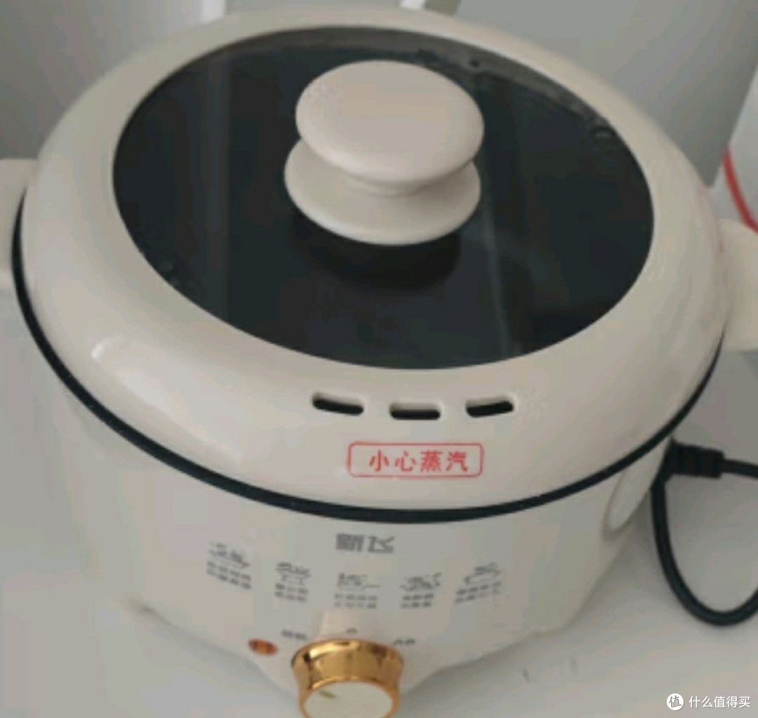 《新飞 4L 电火锅:家庭欢聚的美食制造机》
