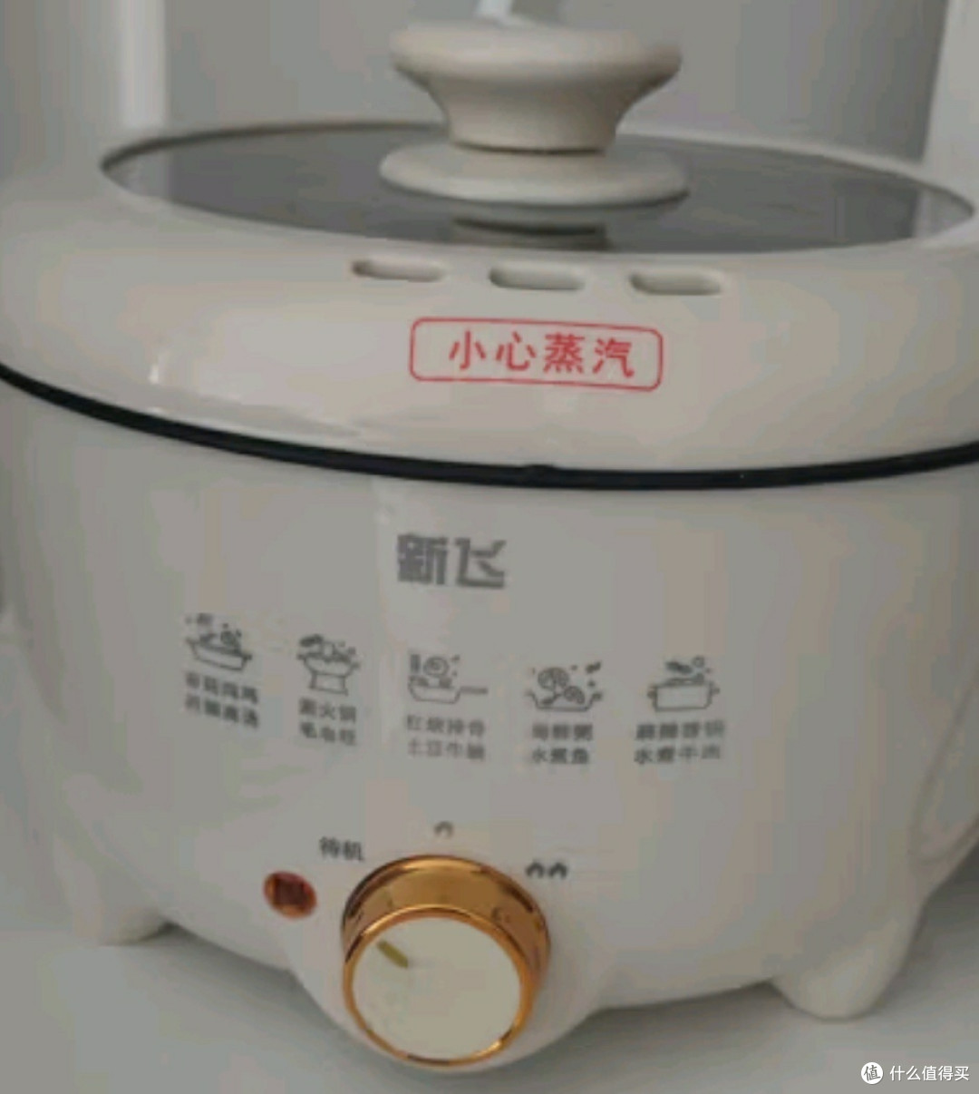 《新飞 4L 电火锅:家庭欢聚的美食制造机》