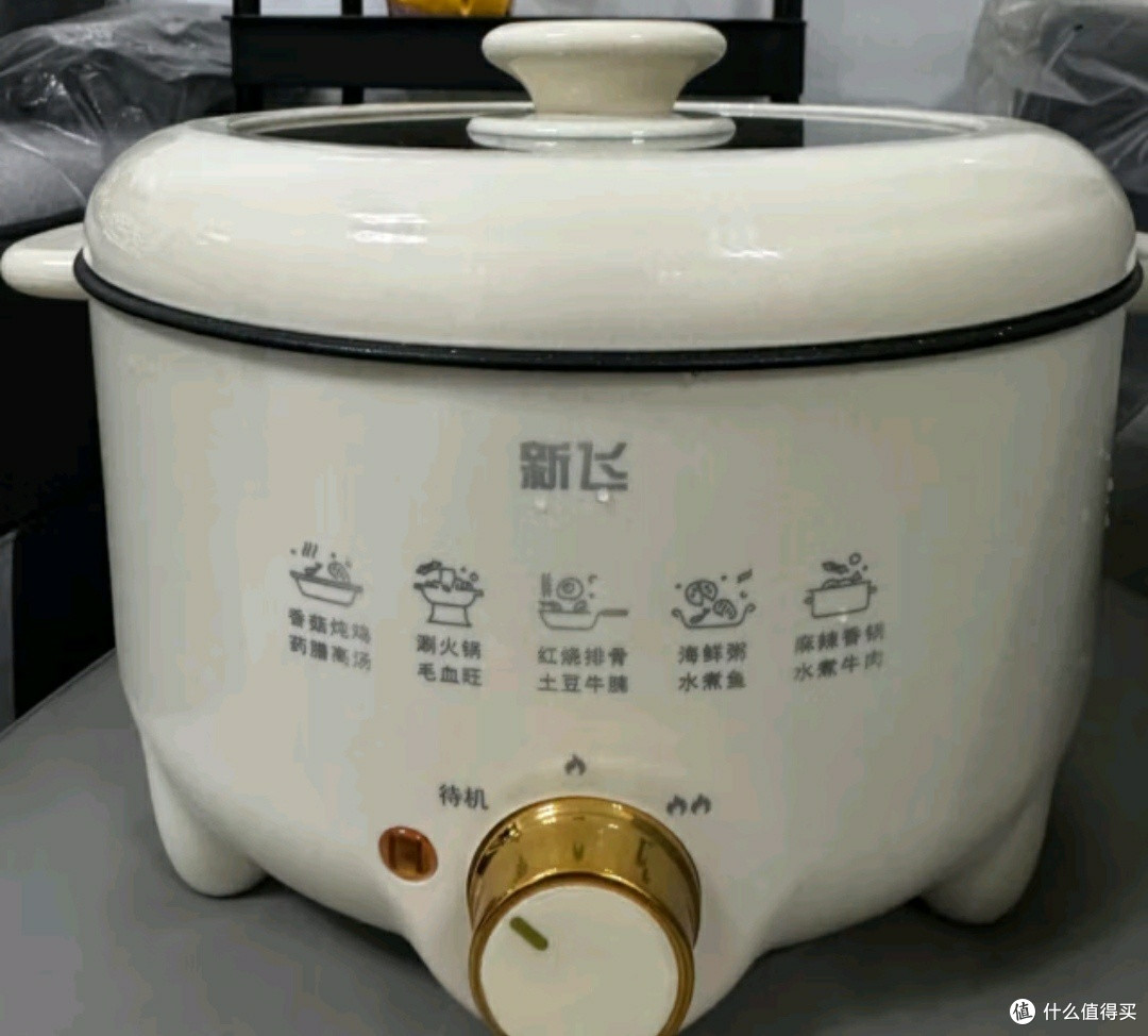 《新飞 4L 电火锅:家庭欢聚的美食制造机》