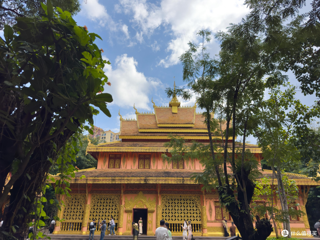 春节、寒假去哪玩（篇一）：西双版纳-普洱，滇南暖冬之旅