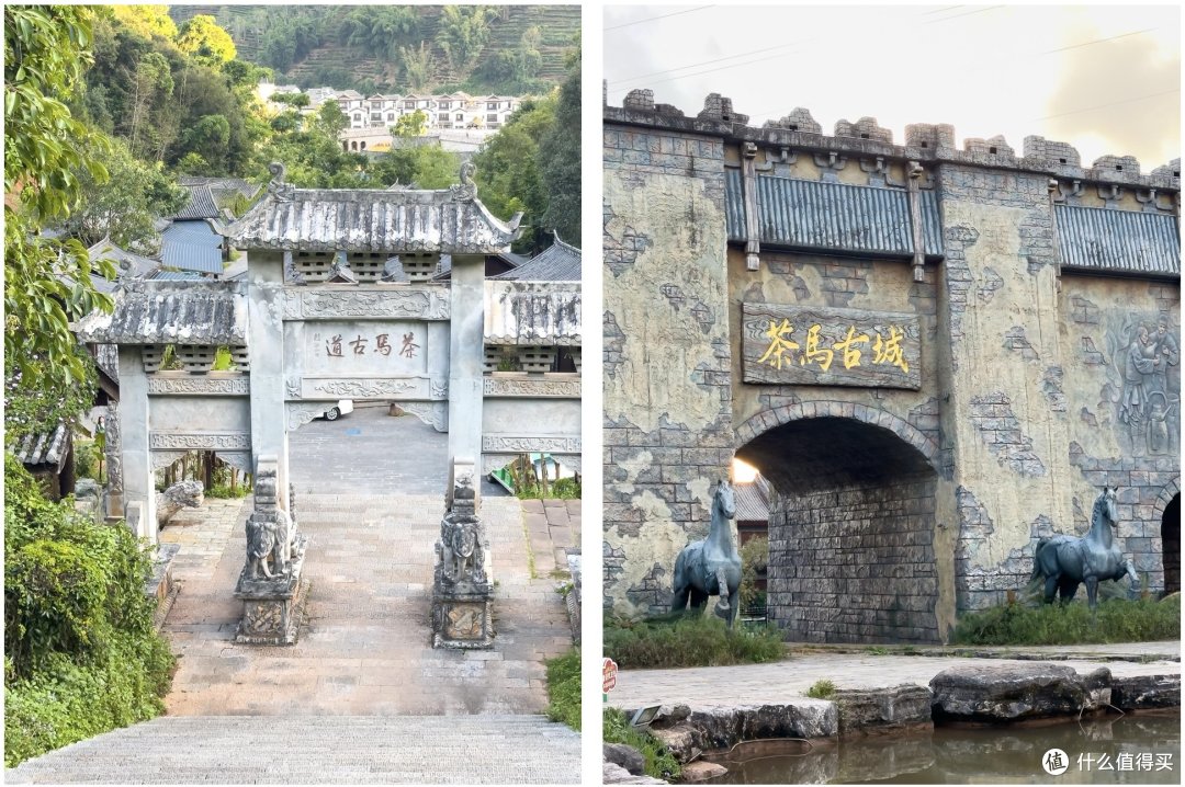 春节、寒假去哪玩（篇一）：西双版纳-普洱，滇南暖冬之旅