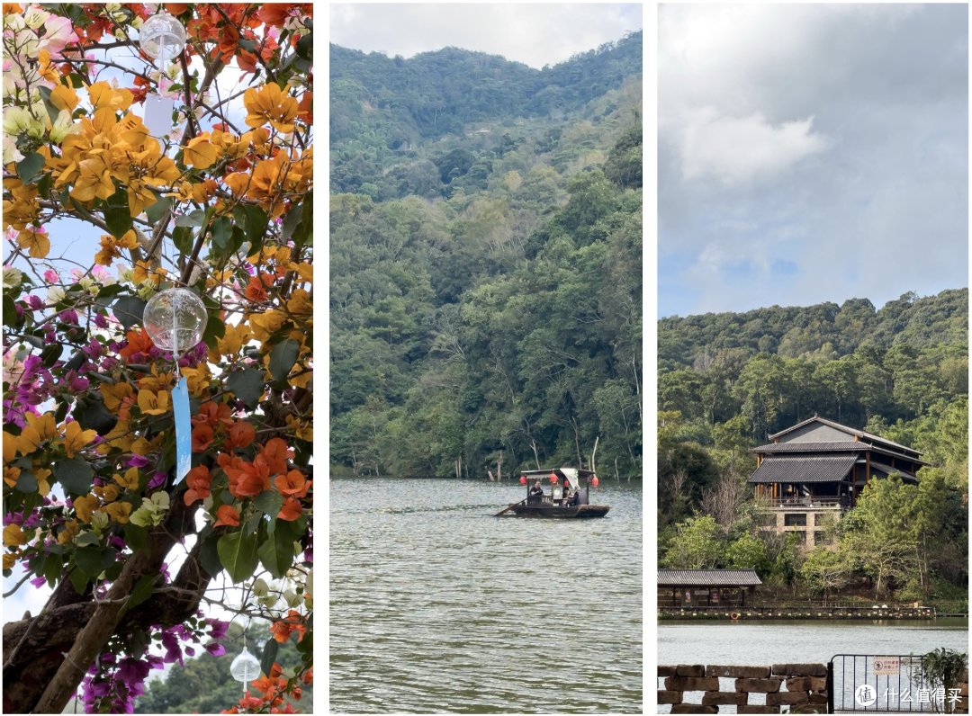春节、寒假去哪玩（篇一）：西双版纳-普洱，滇南暖冬之旅