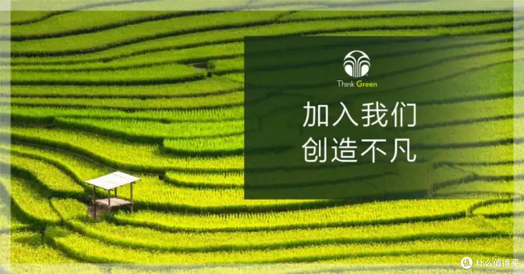 如新坚持绿色发展