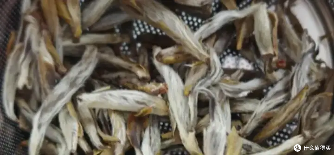 2025年茉莉花茶礼盒推荐?适合送爸妈|送朋友的茶叶礼盒品牌推荐