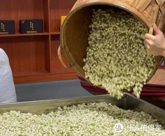 茉莉花茶怎么选？什么品牌茉莉花茶比较好喝？