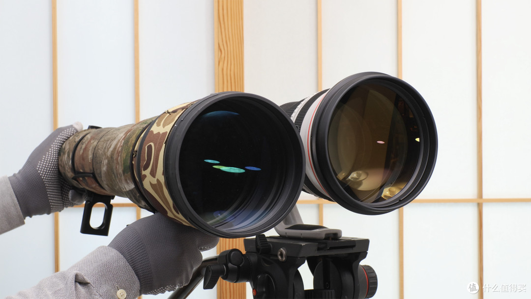 400MM/F2.8都只是弟弟 800MM/F5.6大炮是真猛男的选择