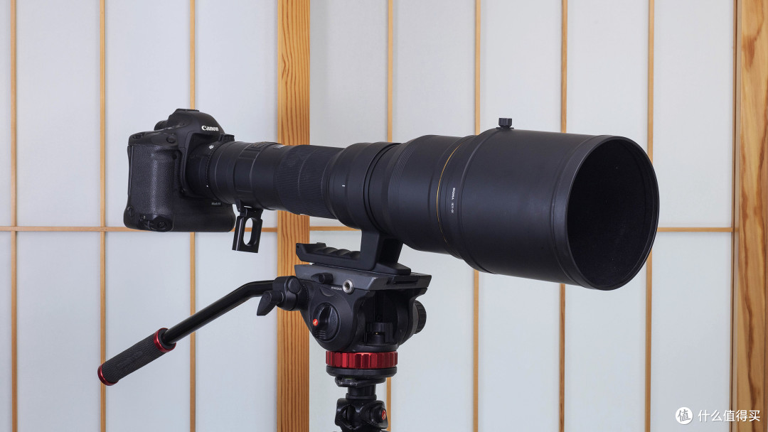 400MM/F2.8都只是弟弟 800MM/F5.6大炮是真猛男的选择