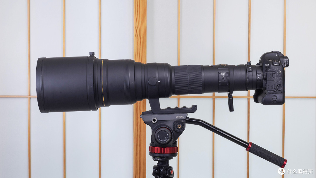 400MM/F2.8都只是弟弟 800MM/F5.6大炮是真猛男的选择