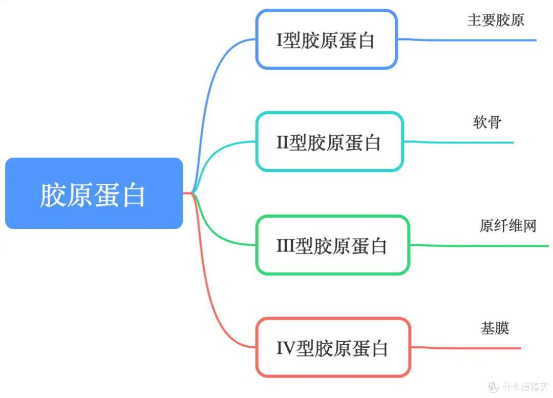 未来“科学护肤新纪元”是何面貌?