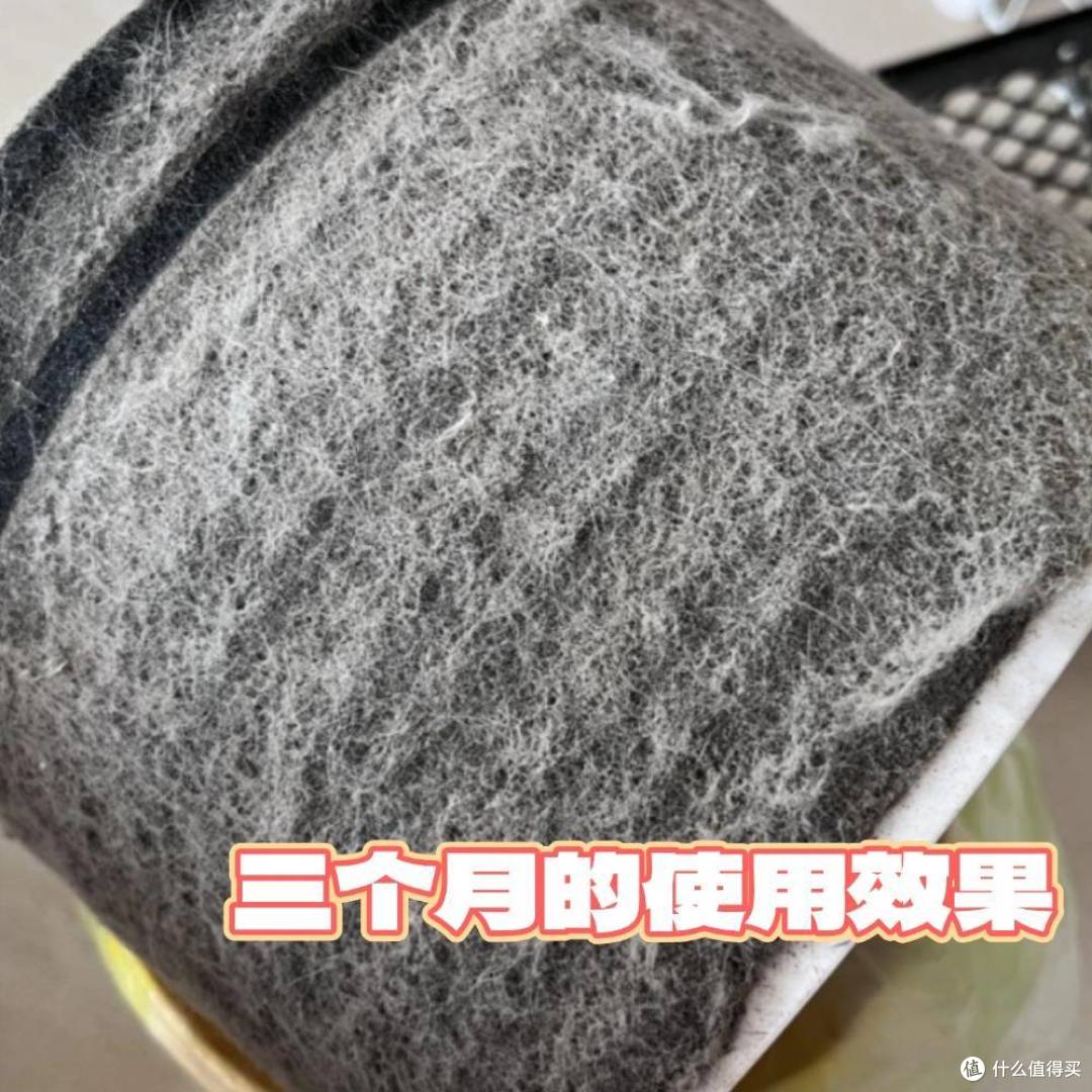 支持国货!希喂、IAM等空气净化器好用吗?真实测试PK!