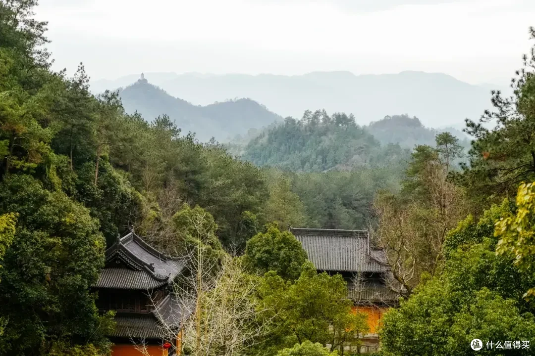 高铁55min直达!家门口的好地方,不花钱更香!