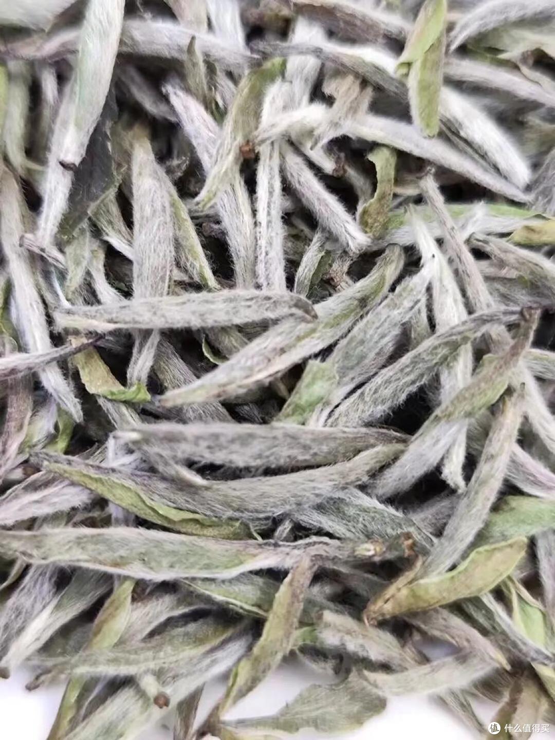 作为福建人，连福建的“十大名茶”都不知道，是不是有点尴尬？