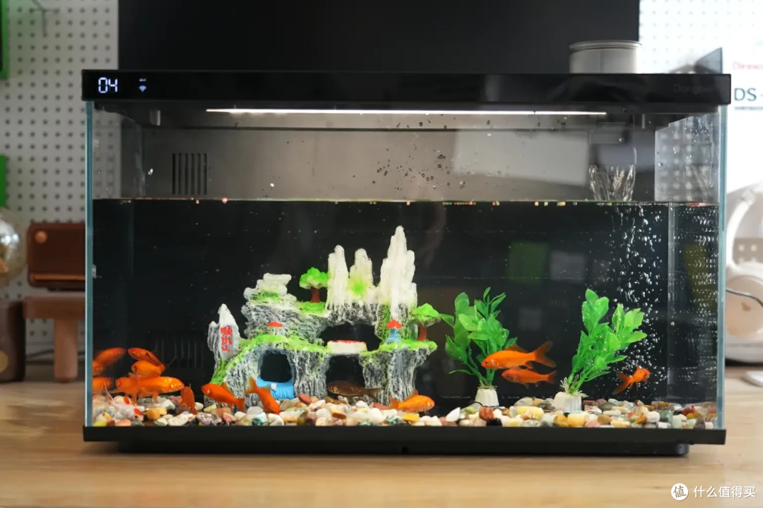当贝智能鱼缸1 Ultra评测:从养鱼小白到专家,只差一个AI助理