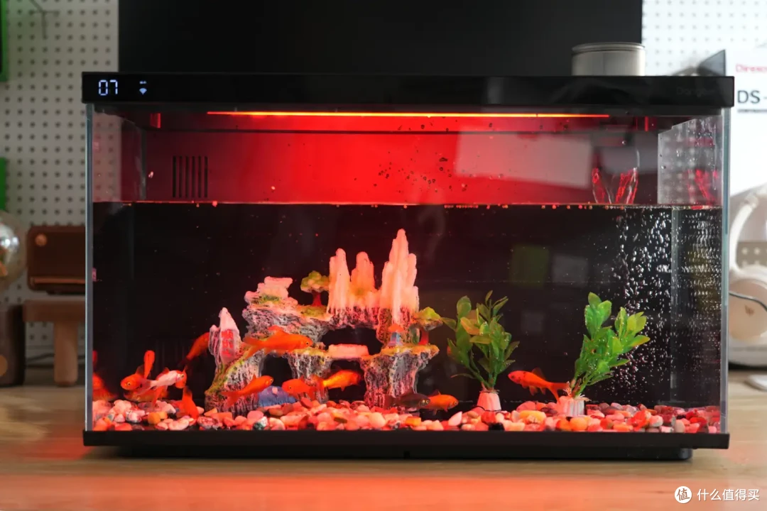 当贝智能鱼缸1 Ultra评测:从养鱼小白到专家,只差一个AI助理