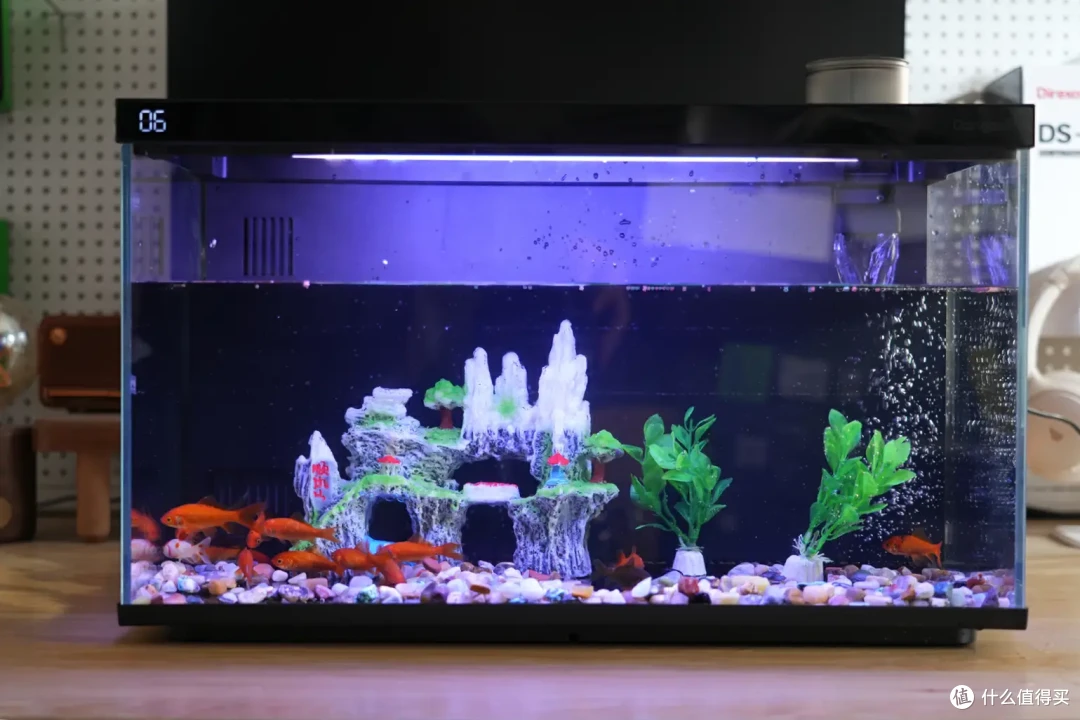 当贝智能鱼缸1 Ultra评测:从养鱼小白到专家,只差一个AI助理