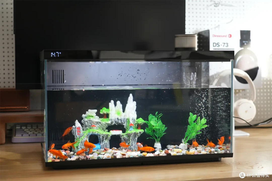 当贝智能鱼缸1 Ultra评测:从养鱼小白到专家,只差一个AI助理