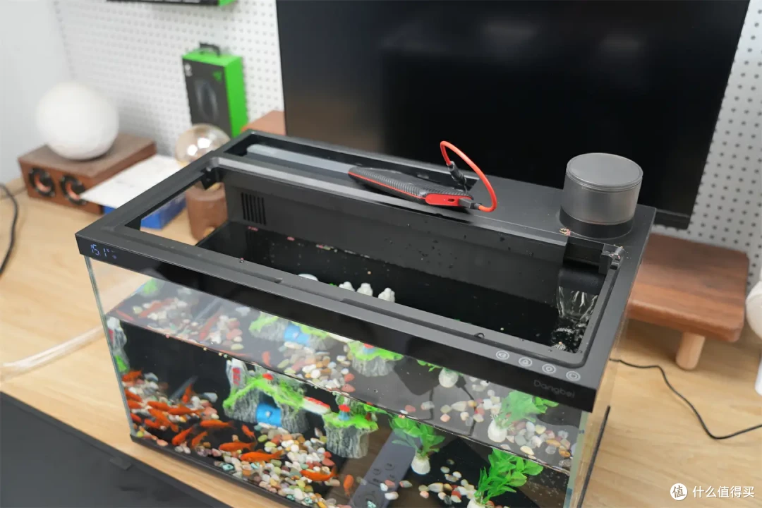 当贝智能鱼缸1 Ultra评测:从养鱼小白到专家,只差一个AI助理