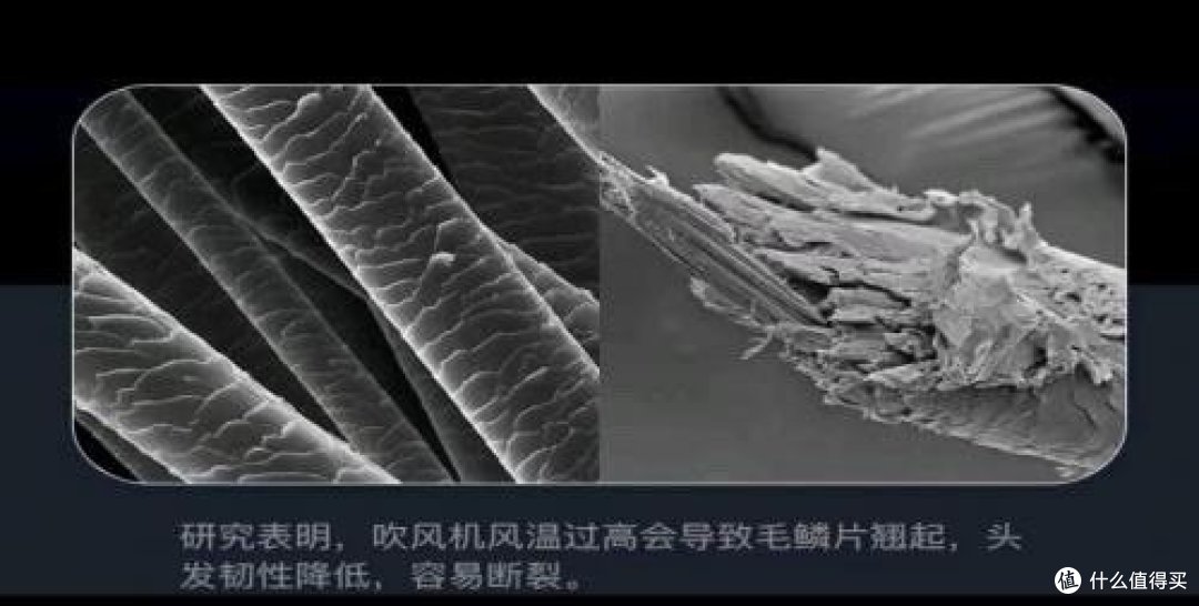 吹风机哪个品牌好适合家用？优先点评五款性价比高的吹风机品牌！

