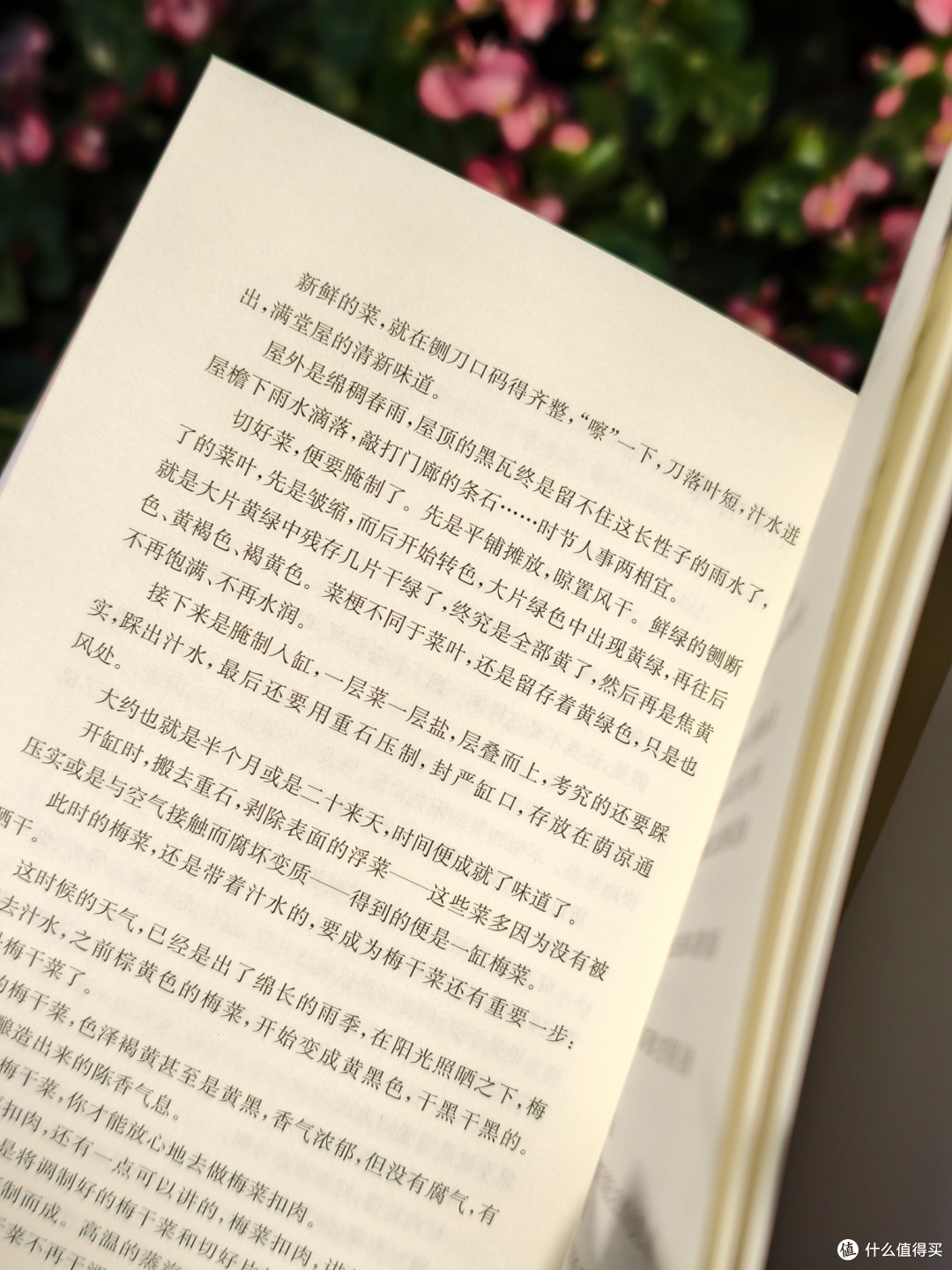 这本书，好吃又好看！从灶间到舌尖，品味人间烟火~
