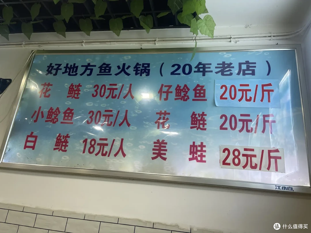 吃在四川，味在自贡——探寻盐帮菜的魅力