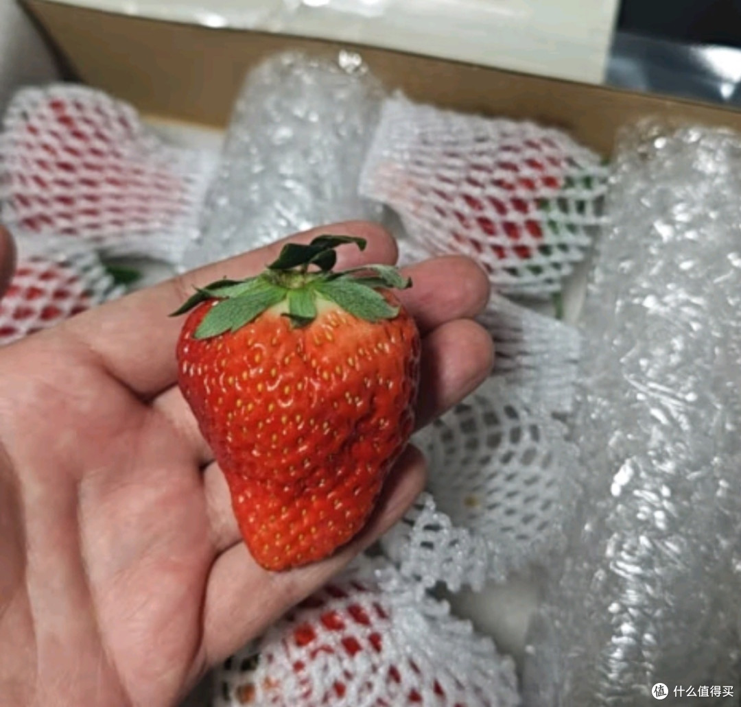 京觅丹东草莓礼盒:年货中的甜蜜惊喜🍓🎁