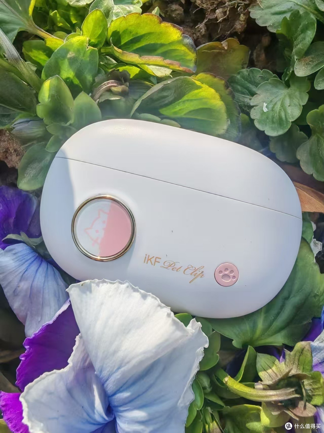 iKF Pet Clip开放式蓝牙耳机，我的年度音乐“救赎”