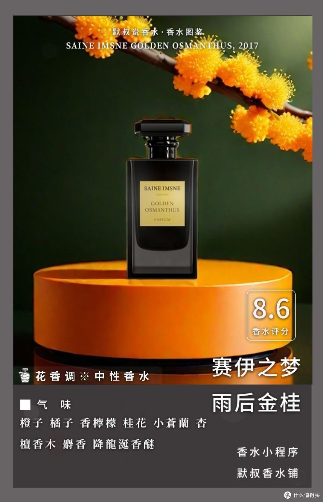 高度还原桂花盛开时的线性香水丨赛伊之梦 雨后金桂