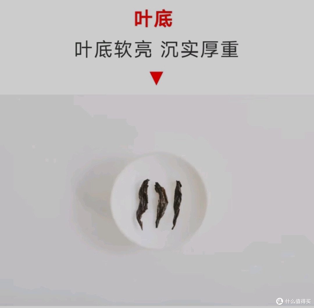 有人说喝茶的最后,都是岩茶和普洱,岩茶向来都没有便宜的