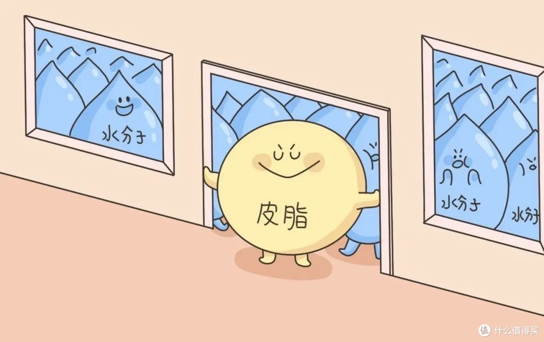 娇韵诗双萃精华:补水补油两不误