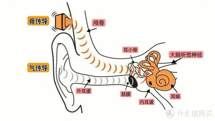 2025骨传导耳机热销榜单前十排行榜！骨传导耳机十大排名