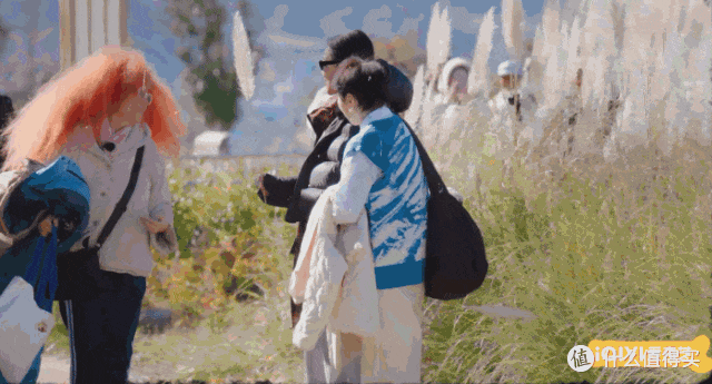 八榜登顶,爱奇艺综艺《一路繁花》开播爆火~