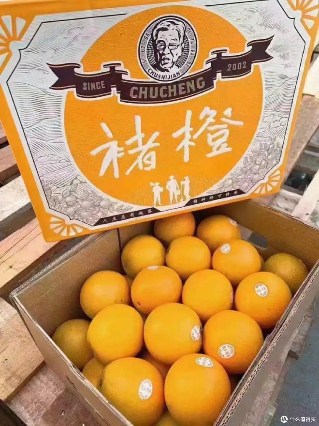 褚橙和实建褚橙的区别,你喜欢吃哪种?